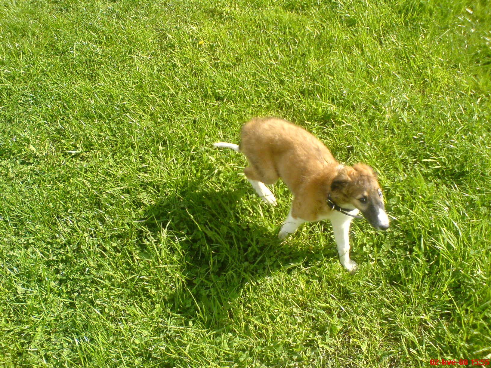 DSC00231.JPG