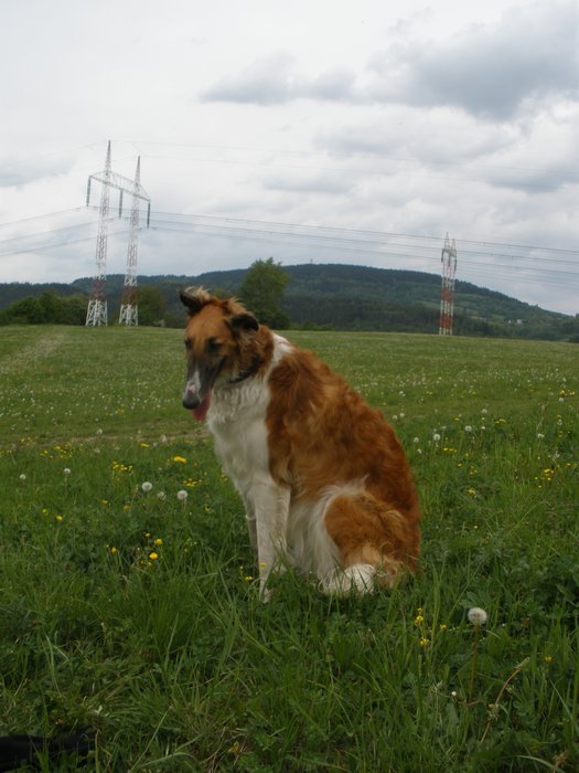 Hodkovicke_okoli_054.jpg