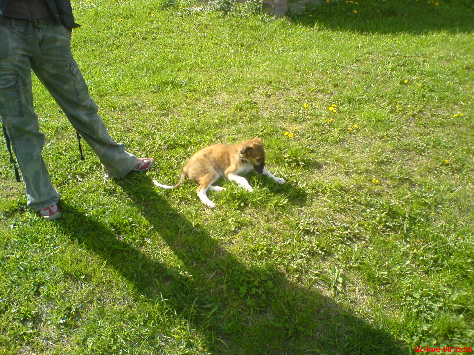 DSC00236.JPG