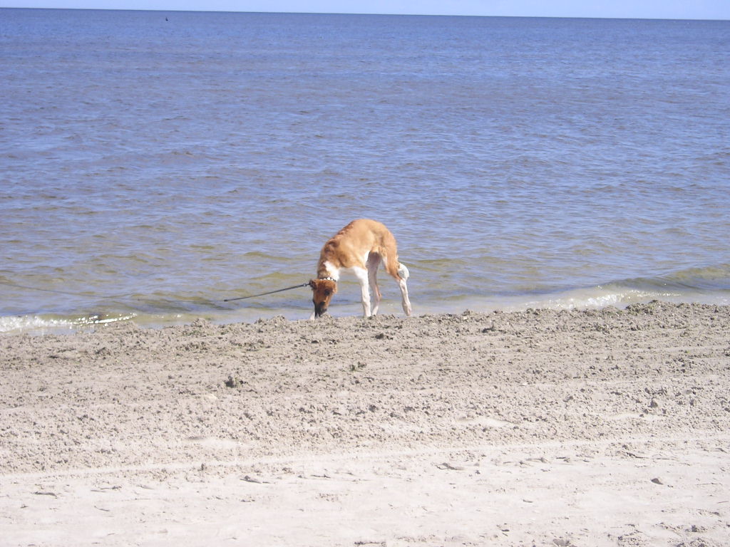 P1010007.JPG
