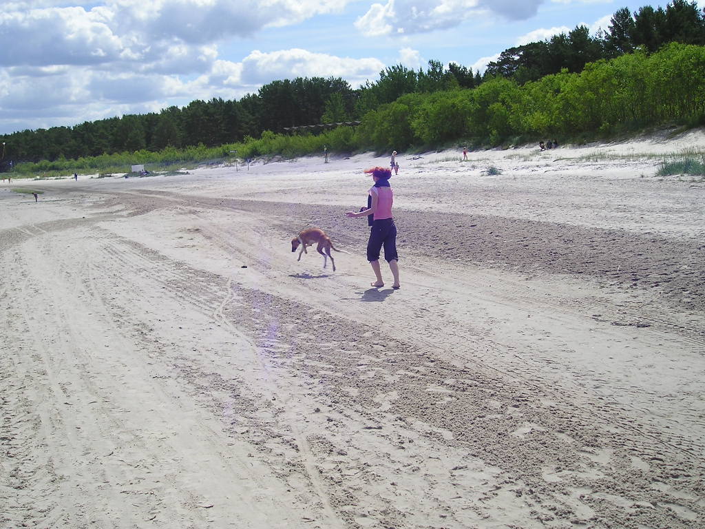 P1010023.JPG