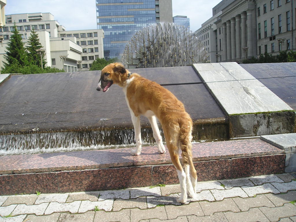 P1010058.JPG