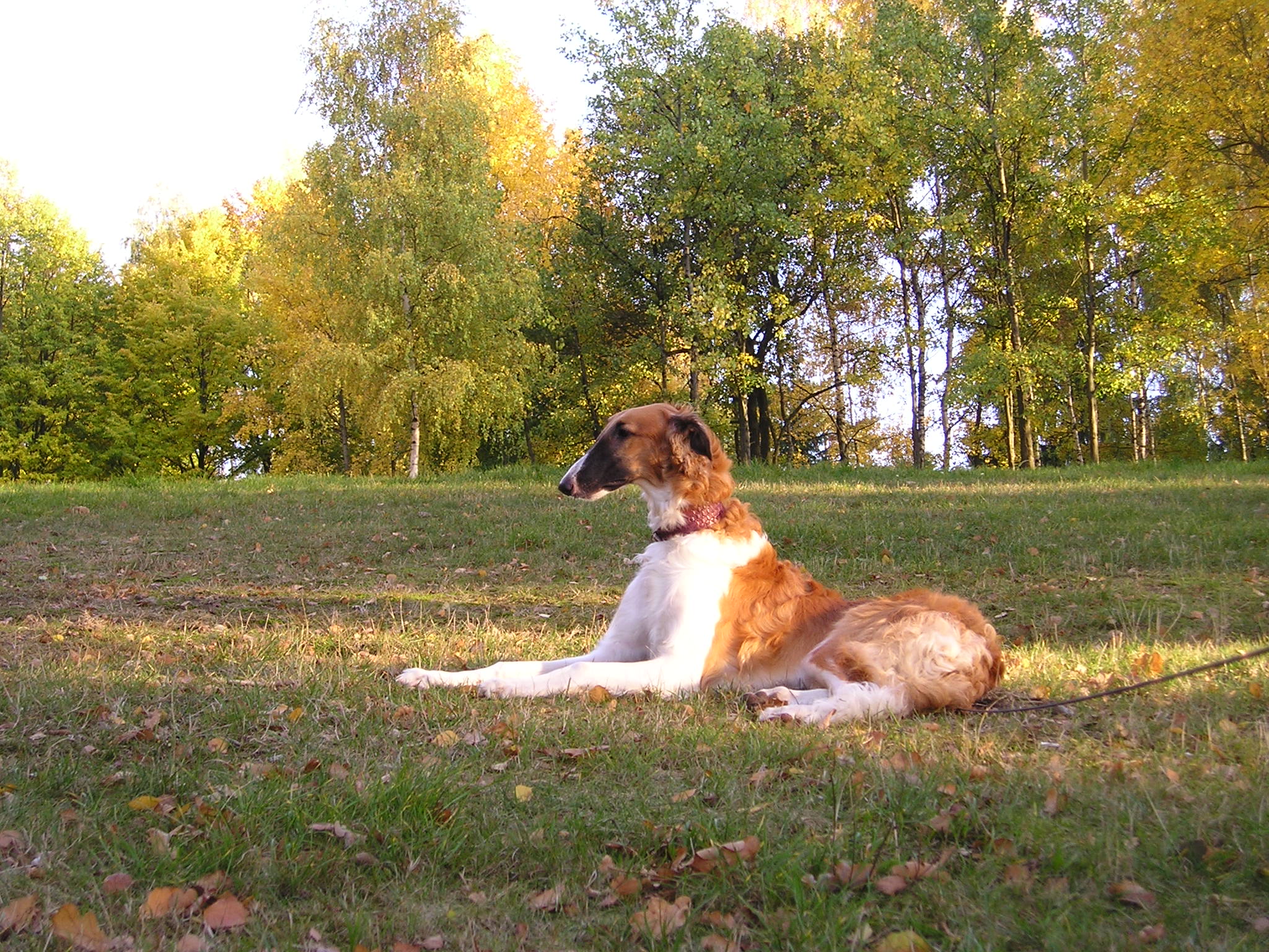 P1010042.JPG