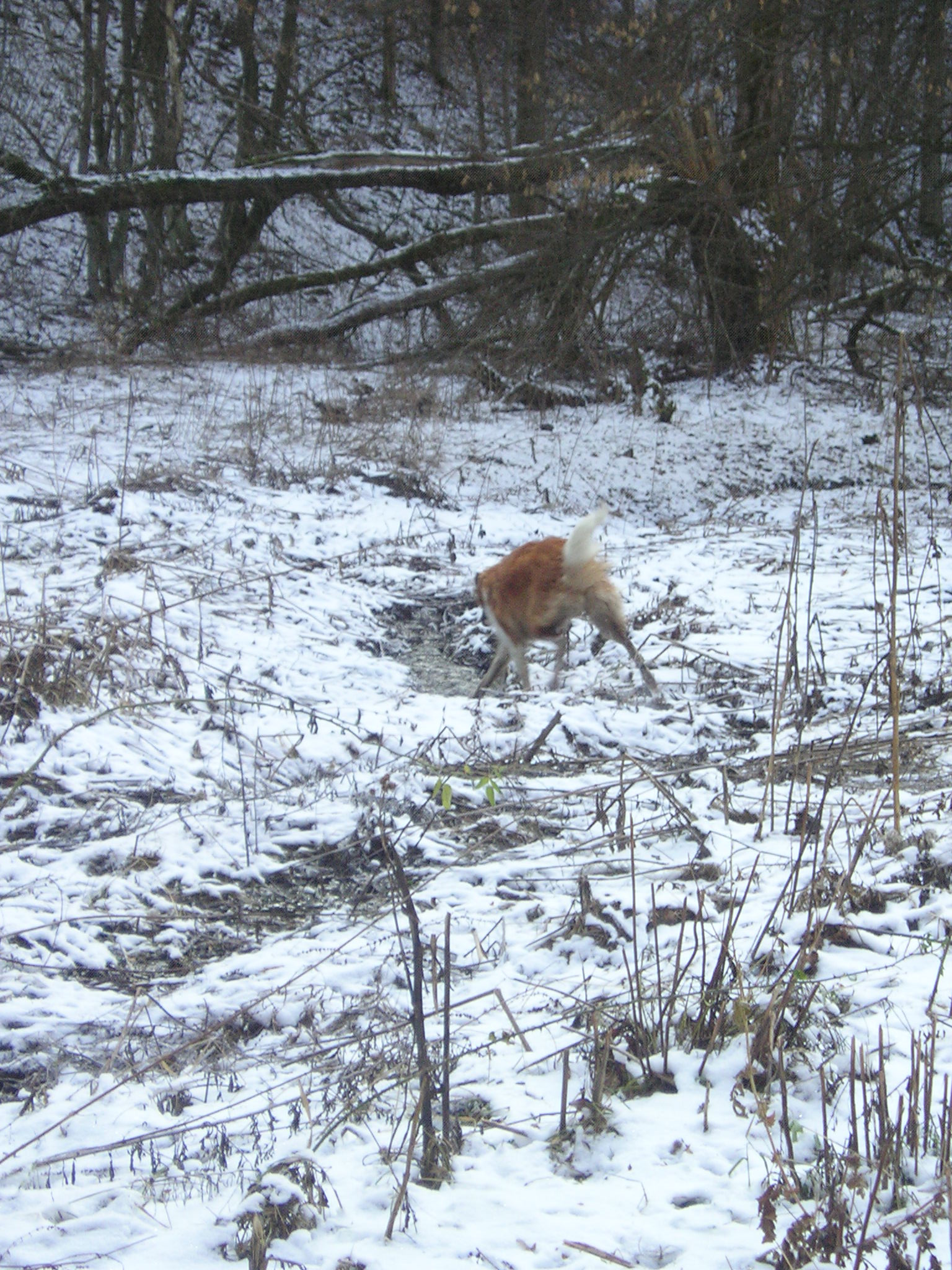 P1030026.JPG