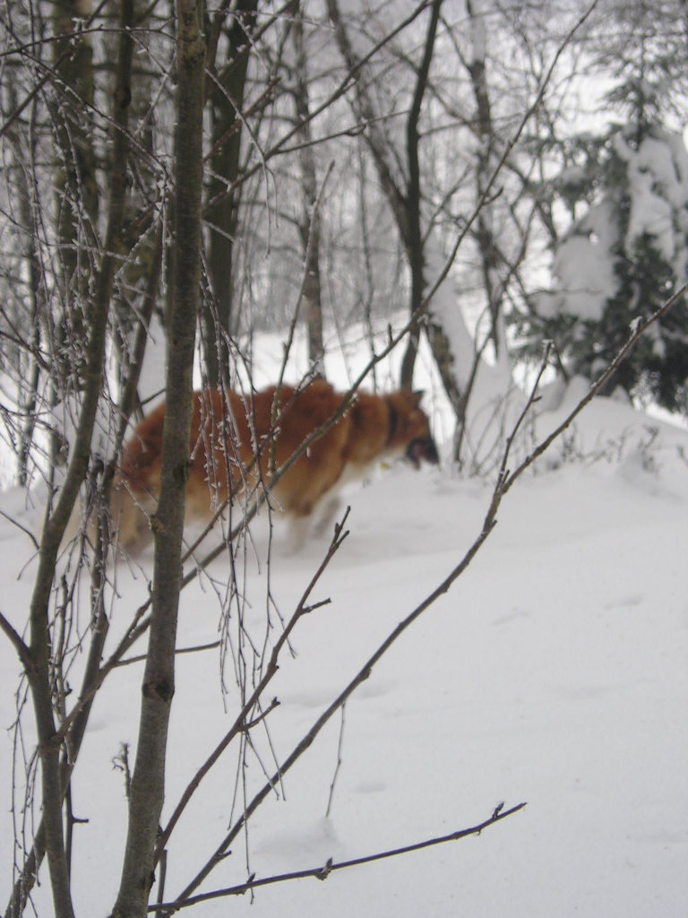 P1010051.JPG