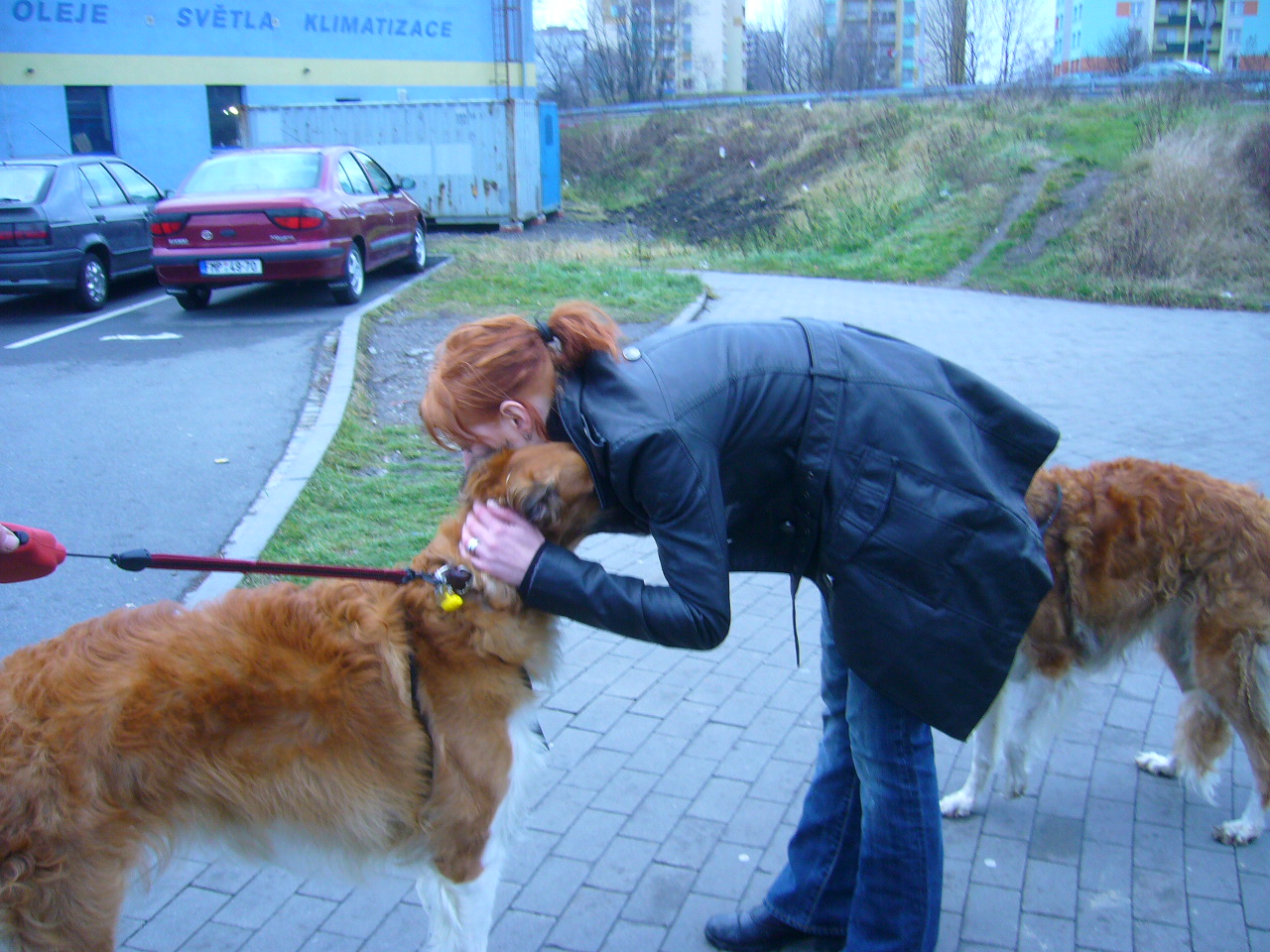 Sn+şmek 002.jpg