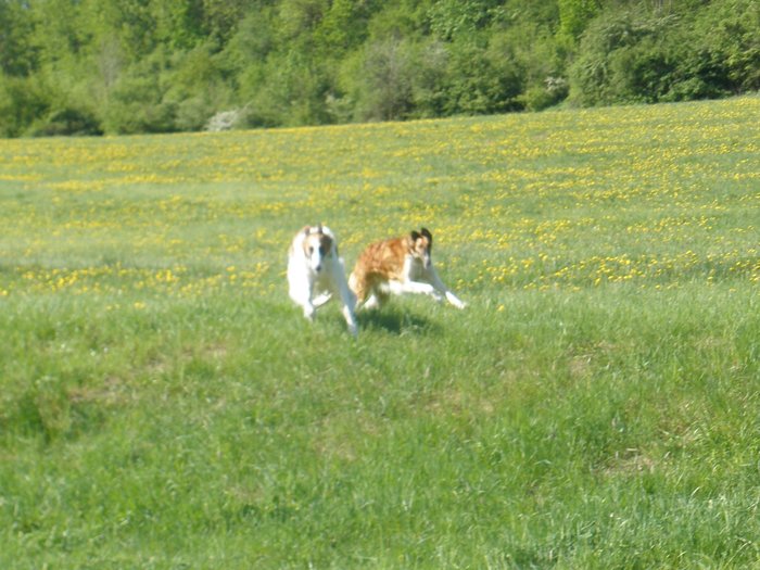 Sychrov_023.jpg