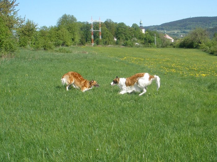 Sychrov_024.jpg