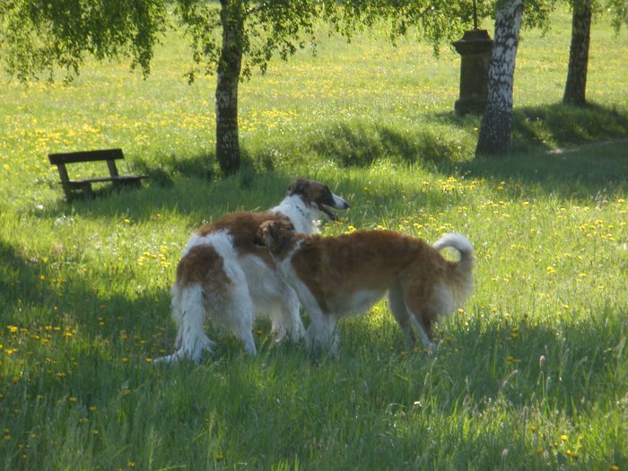 Sychrov_039.jpg