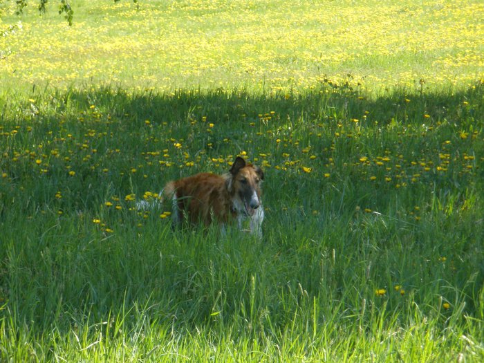 Sychrov_042.jpg
